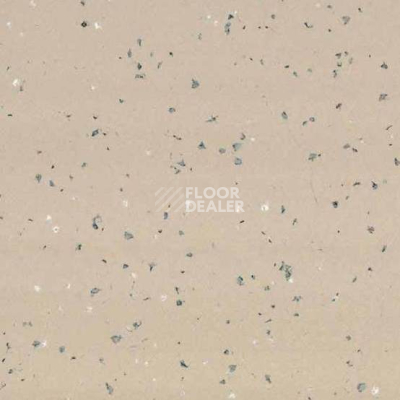 Линолеум Taralay Premium Indiana 4343 Tokelau фото 1 | FLOORDEALER